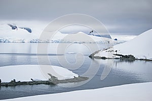 Melting glaciers. global warming. Antarctica