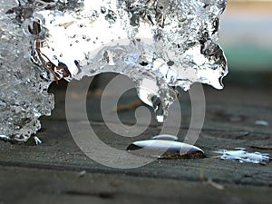 Melting Ice photo