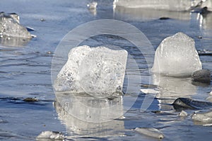 The melting ice.