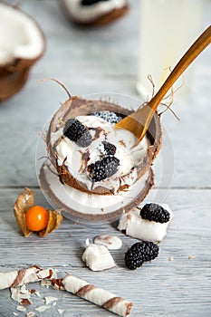 Meltingmelting ice cream in coconut shell, decorated with mulberry and physalis berries