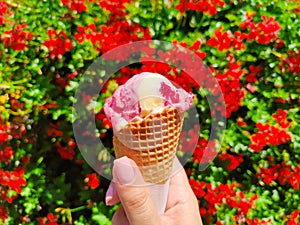 Melting ice cream in a waffle cone in a woman& x27;s hand against floral background. Summer mood. Selective focus