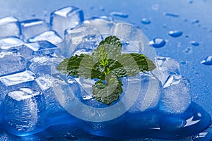 Melting ice cubes close up on blue background