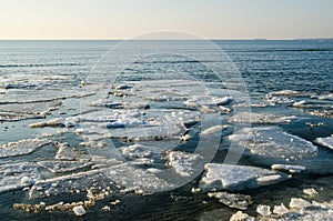 Melting ice floe at the sea