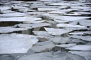 Melting ice floes in water