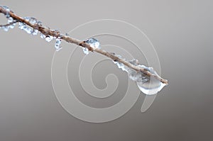 Melting ice forming the water drop