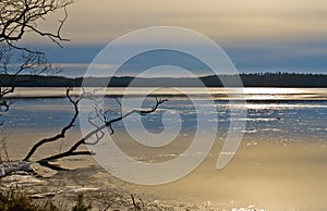 Melting ice on the lake