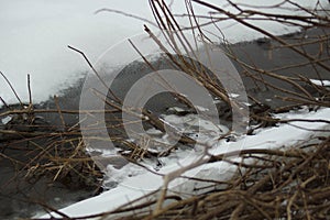 Melting Of Ice On The River