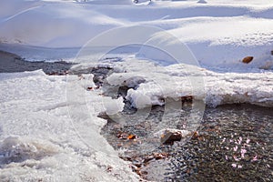Melting of ice on the river in winter
