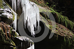 Melting icicles on rock ledge