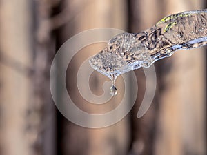 Melting ice with water drop on blurry background, Close up