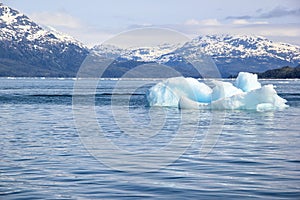 Melting iceberg in a Global Warming Environment