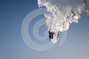 Melting icicle with dripping water drop with crystal clear water drop from melting ice