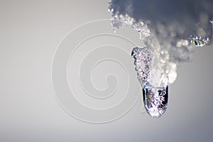 Melting icicle with dripping water drop with crystal clear water drop from melting ice