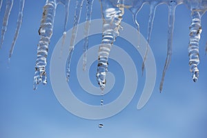 Melting icicles against the blue sky. The onset of the spring thaw.