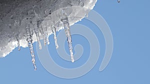 Melting icicles and blue sky in the sunlight.