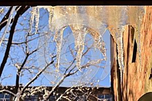 Melting icicles hanging down from roof with blue sky background. Sunny day. Warm winter day