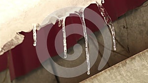 Melting icicles on a snowy roof