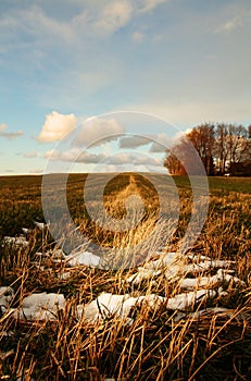 Melting snow in countryside