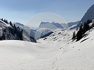 Melting snow cover and early spring ambience in the alpine valley Lochboden and in the valley of the stream Sulzbach in the Glarus