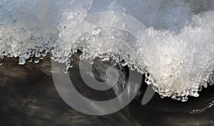 Melting snow crystals