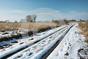 Melting snow on dirt road through wild meadow, trees and clear sky