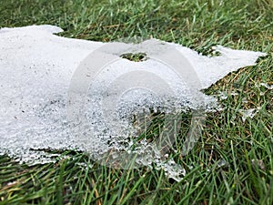 Melting snow on the grass