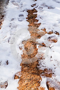 Melting snow on hiking trail in late winter. Hiking and travel concept