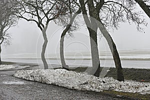 melting snow on the lawn and a road in the fog in a small town in Finland