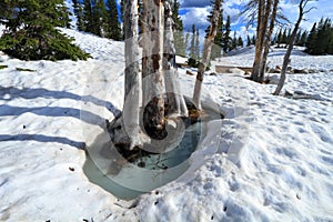 Melting snow in the mountains