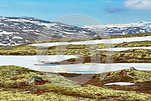 Spring in the mountains