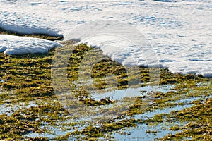 Melting snow photo