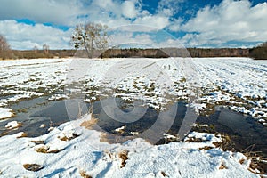 Melting snow on a rural field, February day