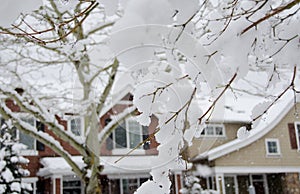 Melting snow in suburb of Seattle