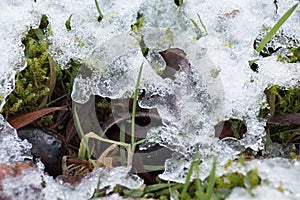 Melting white snow and ice covering green grass in winter