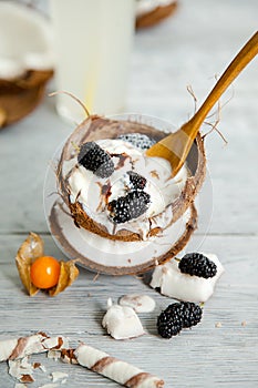 Meltingmelting ice cream in coconut shell, decorated with mulberry and physalis berries