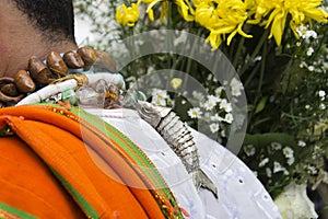 member of the candomble religion participates in a party in honor of Yemanja in the city of Salvador