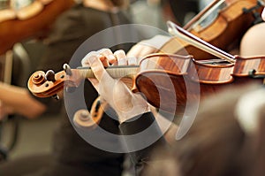 Member of classical music orchestra playing violin on a concert photo