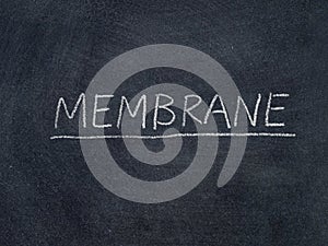 Membrane