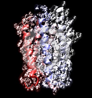 Membrane protein