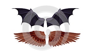 Membranous and Feathered Wings of Different Flying Creature Vector Set