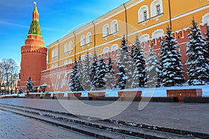 Memorial architectural ensemble of the Tomb of Unknown Soldier in Alexandrovsky garden near the walls of Moscow Kremlin