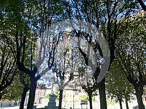 Memorial church beyond the forest of trees in a park italy photo