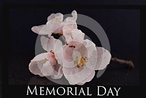Memorial Day; Celebrated on the fourth Monday of May.