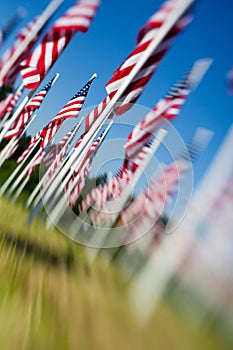 Memorial Day USA - American flags