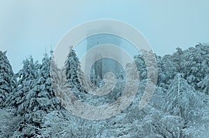 Memorial of Liberty Shipka, Gabrovo, Bulgaria - December 31, 2018 Winter picture, fog, deep snow, trees covered with snow, cold