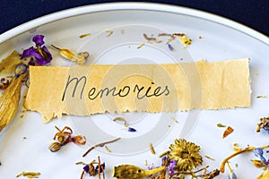 Memories word and letter on the old paper, autumn dried flowers