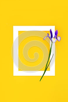 In Memorium RIP Funeral Iris Flower Background Frame