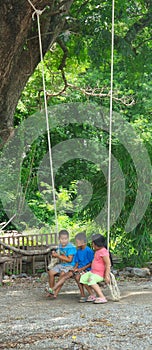 Memory of the childhood on wooden swing under big green tree