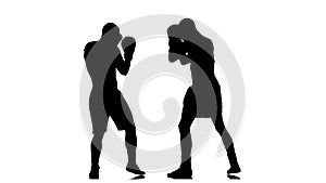 Men boxers train punches and kicks. Slow motion. Silhouette