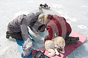 Men and dog on the winter ice fishing on the lake Baikal.